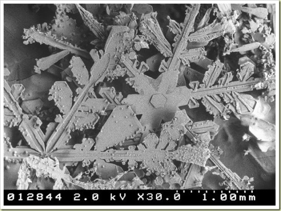microscopic look at a snowflake